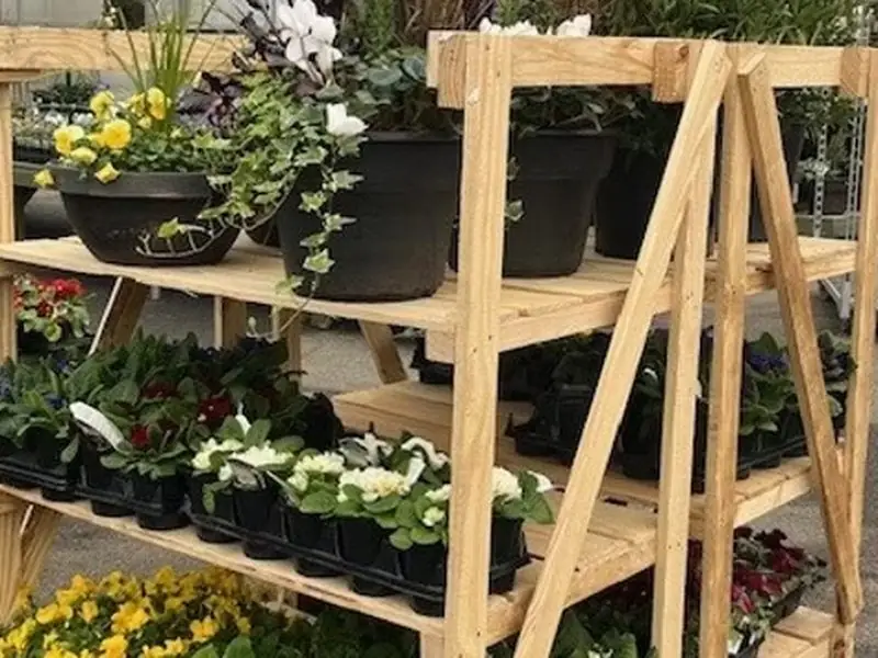 Wooden display rack filled with flowering nursery plants